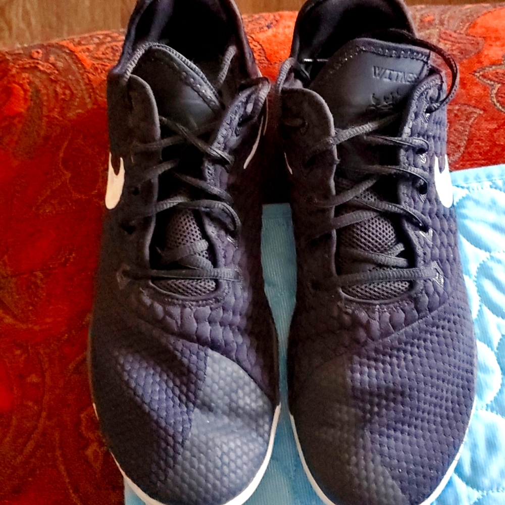 Nike Lebron shoes mens size 11.5